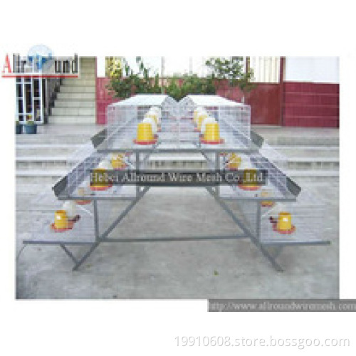 cmplete equipment design for chicken